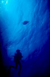 Returning to the surface after a dive at Cozumel - May 2003 by Jesper Granes 